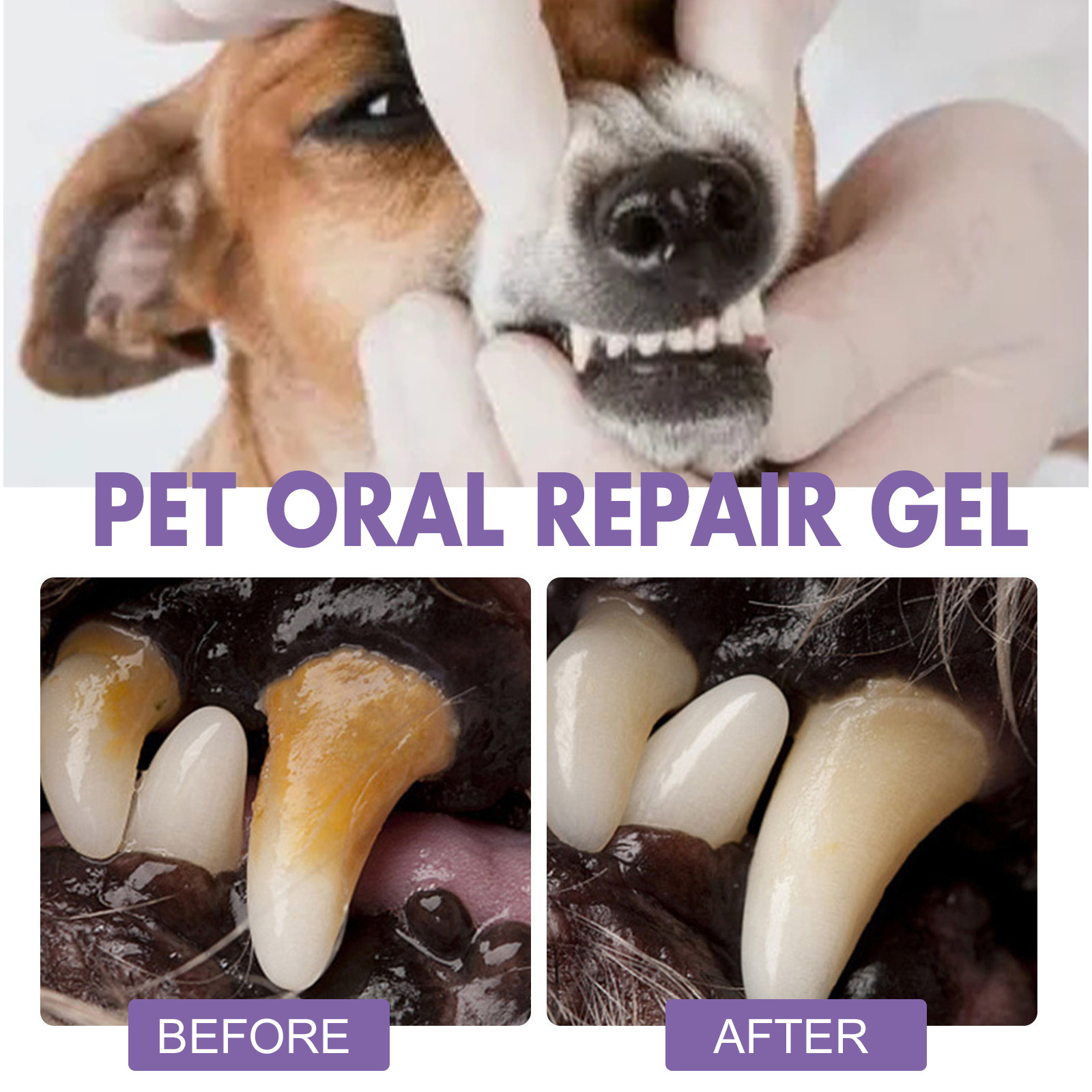 สัตว์เลี้ยง Oral Repair GEL Pu - Teeth Whitening Remedies บทวิจารณ์และราคา